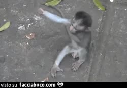 gif animata