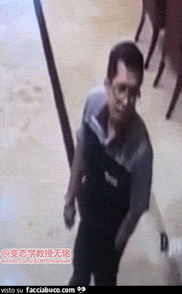 Gif Animata