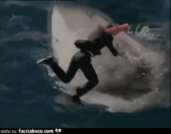 gif animata