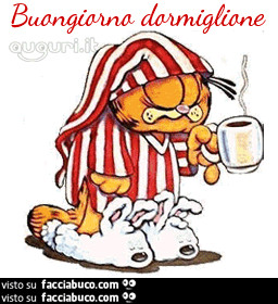 gif animata
