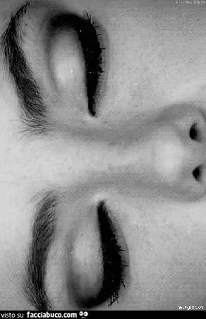 gif animata