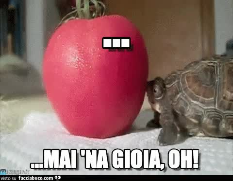 gif animata