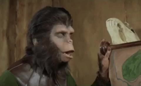 gif animata