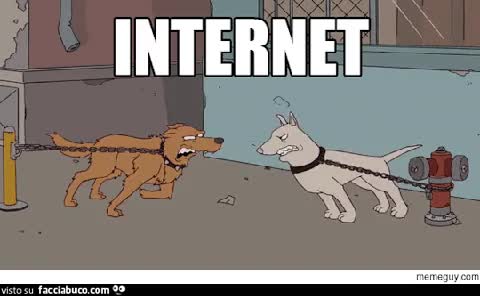 gif animata