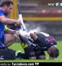 gif animata