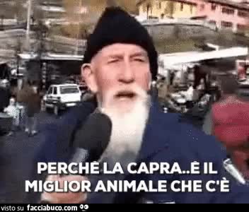 gif animata