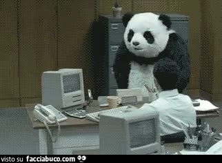 gif animata