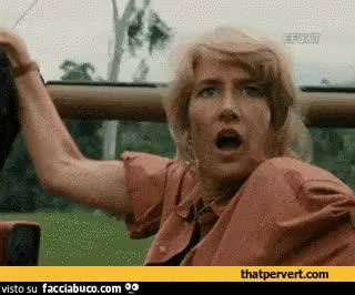 Gif Animata
