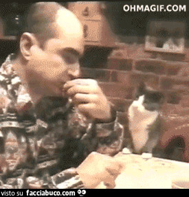 gif animata