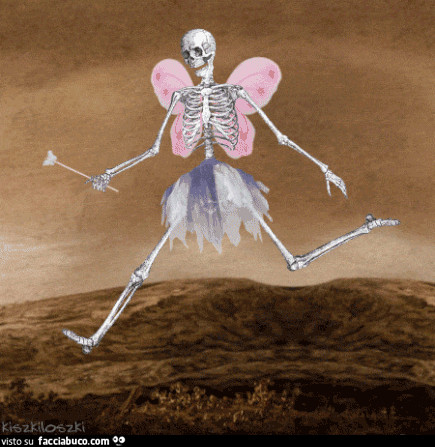 gif animata