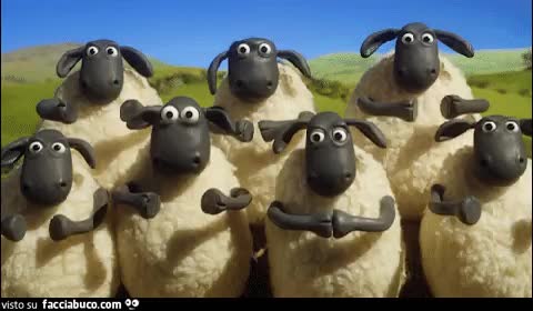 gif animata